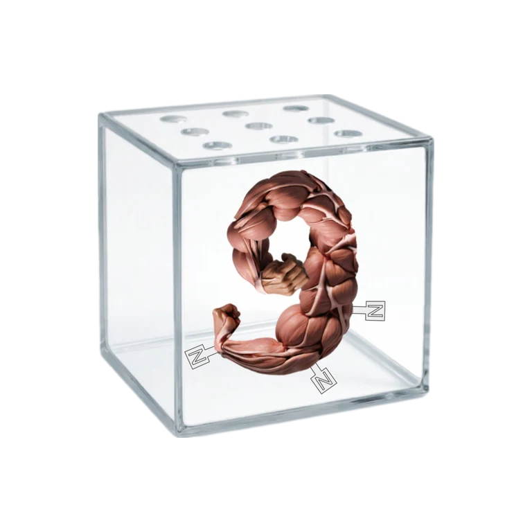 Creatinine OCT2/MATE1 substrate avatar