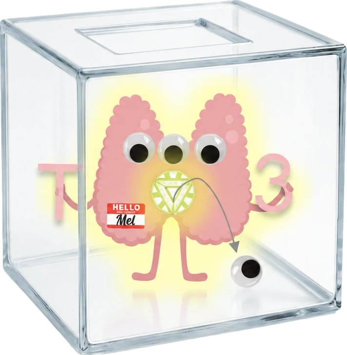 Liothyronine Box: minimal PK interactions avatar