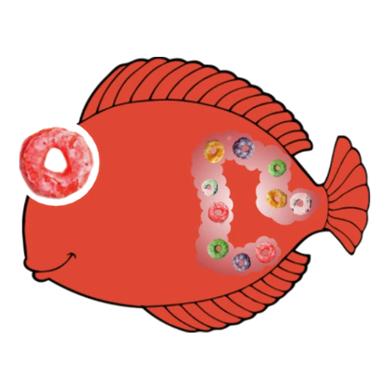 Loperamide CYP3A4 substrate avatar