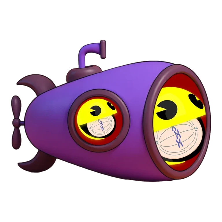 Paclitaxel P-gp substrate avatar