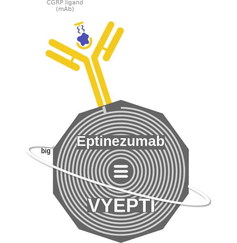 Eptinezumab ballicule: receptor binding, kinetics and half-life diagram
