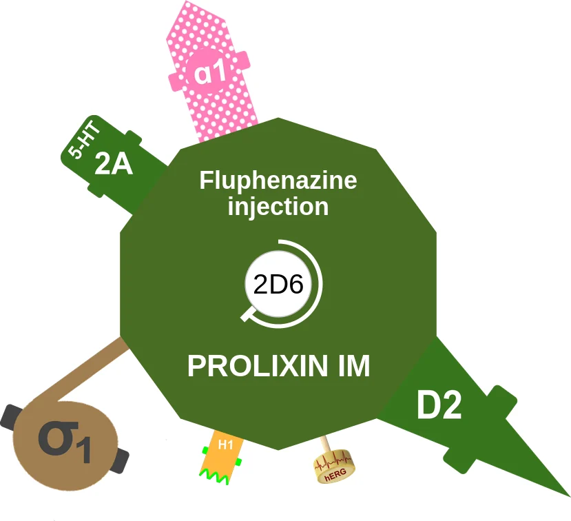 Fluphenazine injection ballicule: receptor binding, kinetics and half-life diagram