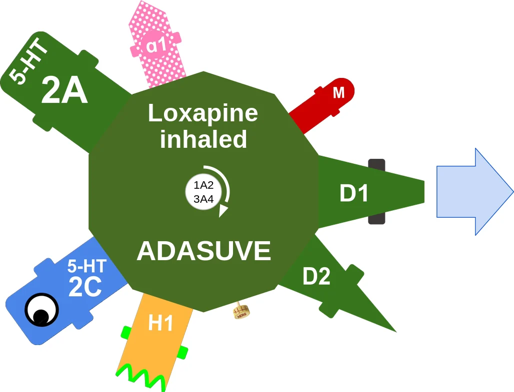 Loxapine inhaled ballicule: receptor binding, kinetics and half-life diagram