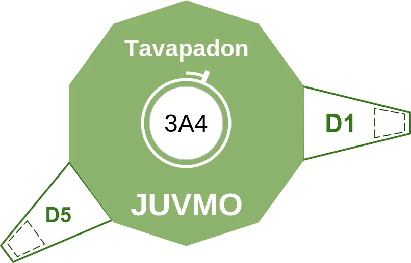 Tavapadon ballicule: receptor binding, kinetics and half-life diagram