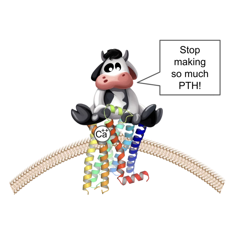Cinacalcet SENSIPAR mascot mnemonic cartoon
