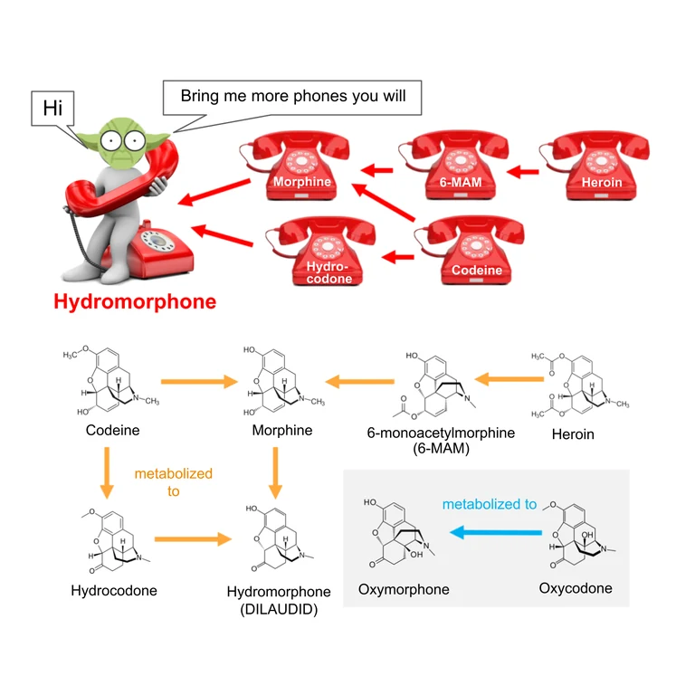 Hydromorphone DILAUDID mascot mnemonic cartoon