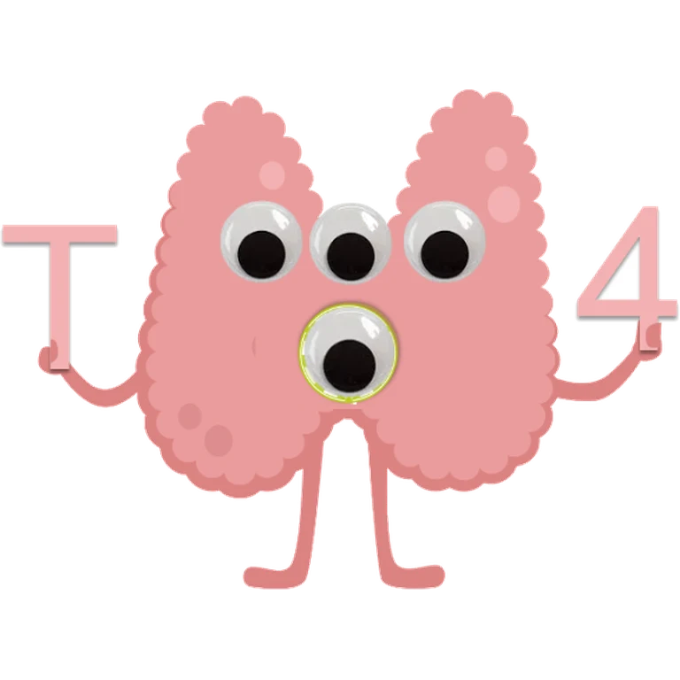 Levothyroxine SYNTHROID mascot mnemonic cartoon