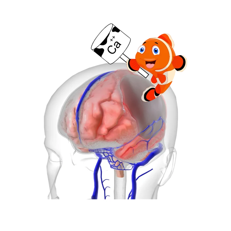 Nimodipine NIMOTOP mascot mnemonic cartoon