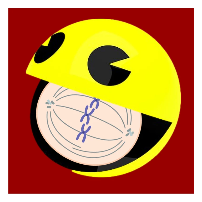 Paclitaxel TAXOL / PTX mascot mnemonic cartoon