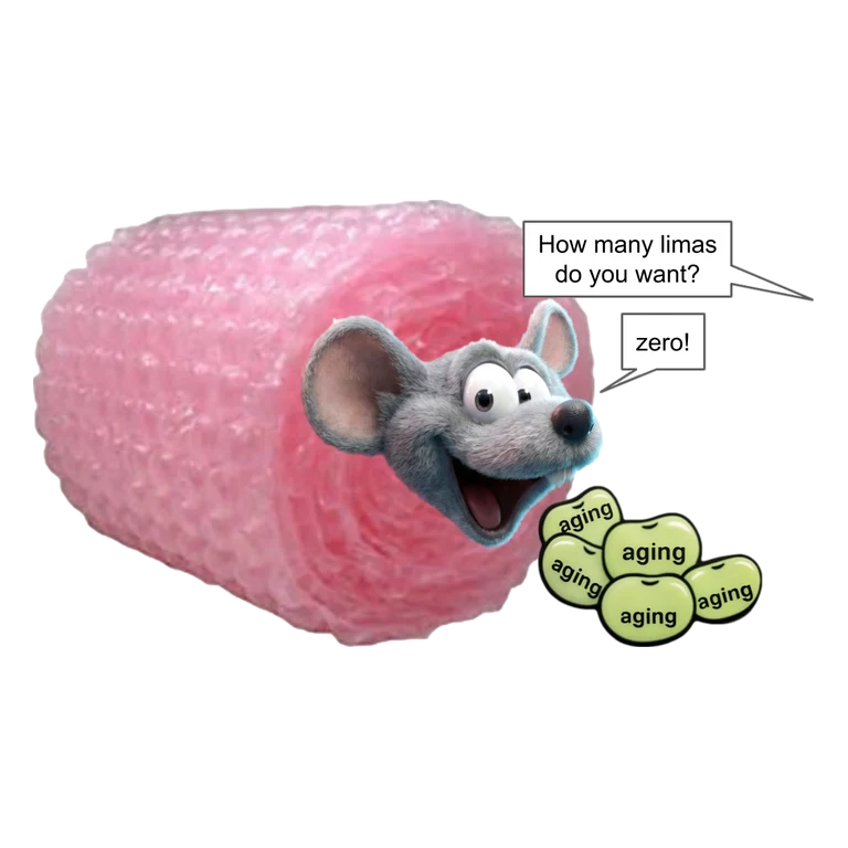 Sirolimus RAPAMUNE mascot mnemonic cartoon