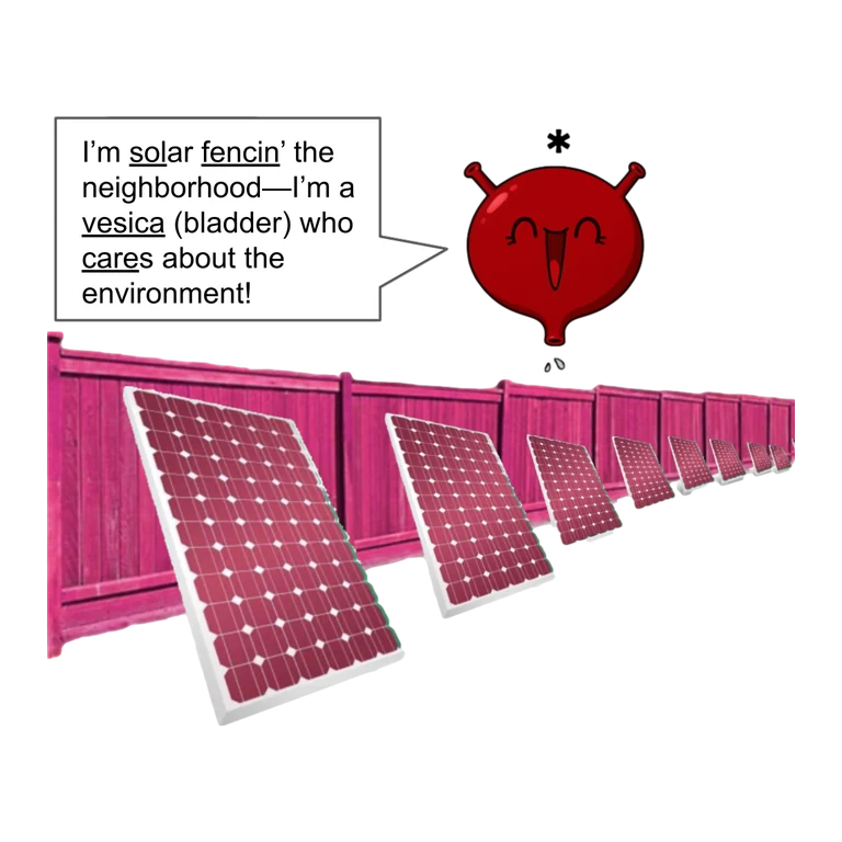 Solifenacin VESICARE mascot mnemonic cartoon