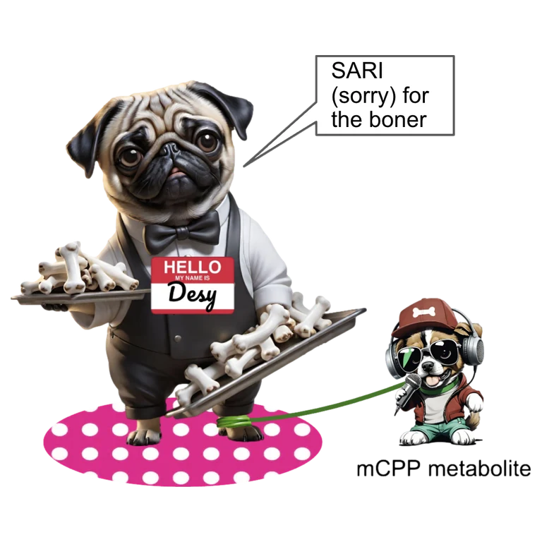 Trazodone DESYREL mascot mnemonic cartoon