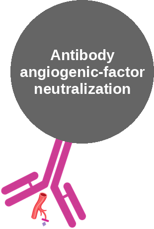 Antibody angiogenic-factor neutralization — mechanism peg (Ballicules)