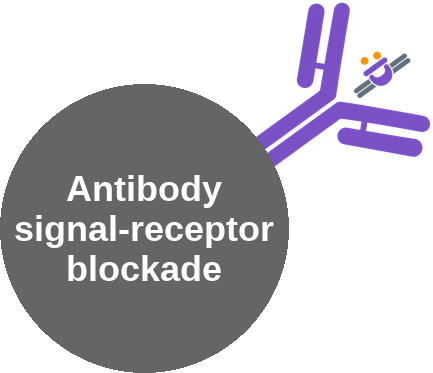 Antibody signal-receptor blockade — mechanism peg (Ballicules)