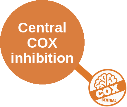Central cyclooxygenase inhibition (acetaminophen) — mechanism peg (Ballicules)