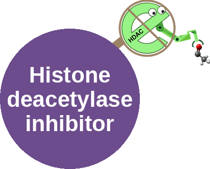 HDAC inhibitor — mechanism peg