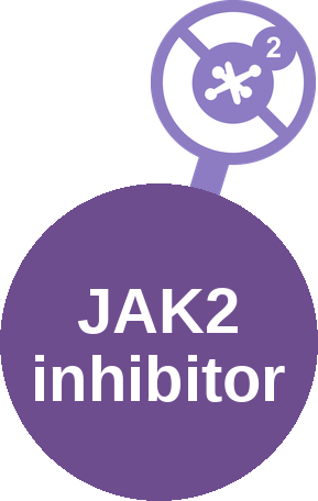 JAK2 inhibitor — mechanism peg (Ballicules)