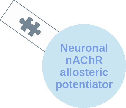 Neuronal nicotinic receptor allosteric potentiating ligand — mechanism peg (Ballicules)