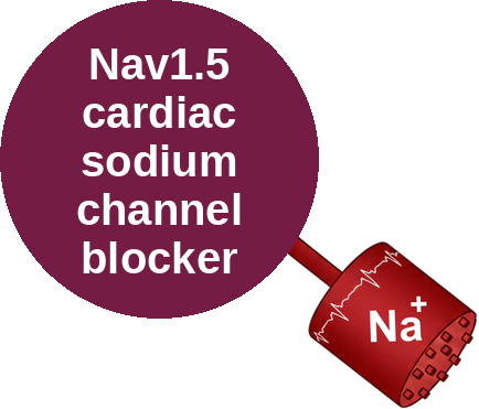Nav1.5 blocker — mechanism peg