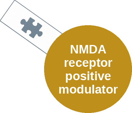 NMDA receptor positive modulator (neurosteroid) — mechanism peg (Ballicules)