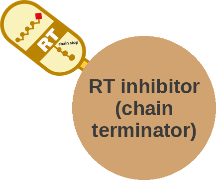 Nucleoside/nucleotide reverse-transcriptase inhibitor (chain terminator) — mechanism peg (Ballicules)