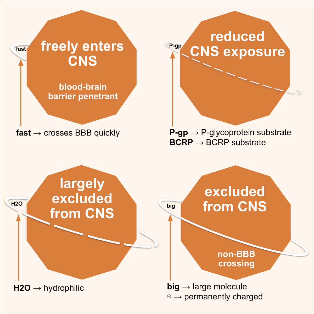 CNS exposure mechanism card