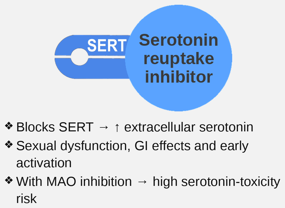 SERT inhibitor mechanism card