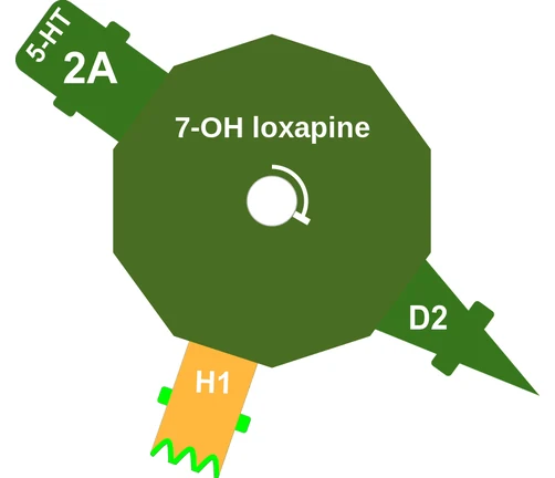 7-OH loxapine ballicule — decagon mechanism diagram