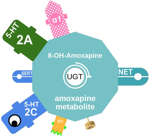 8-OH-Amoxapine ballicule — decagon mechanism diagram