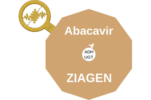 Abacavir ballicule: receptor binding, kinetics and half-life diagram