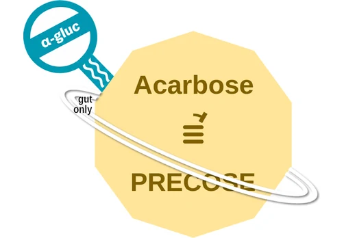 Acarbose ballicule: receptor binding, kinetics and half-life diagram
