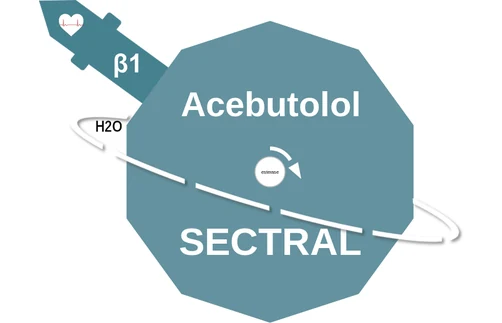 Acebutolol ballicule: receptor binding, kinetics and half-life diagram