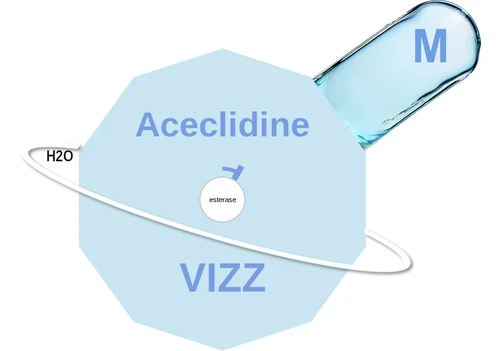 Aceclidine ballicule: receptor binding, kinetics and half-life diagram