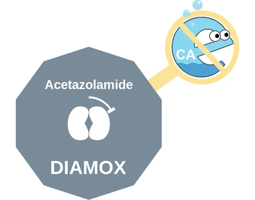 Acetazolamide ballicule: receptor binding, kinetics and half-life diagram