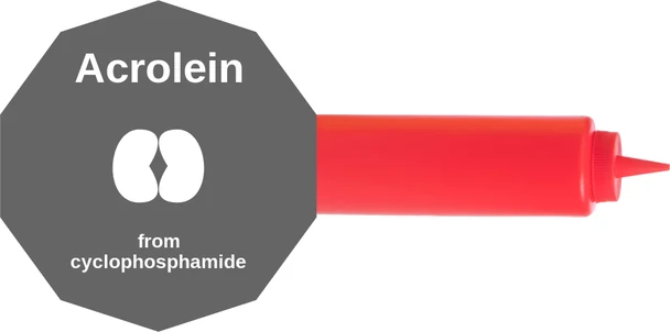 Acrolein ballicule — decagon mechanism diagram
