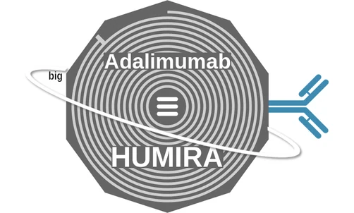 Adalimumab ballicule: receptor binding, kinetics and half-life diagram