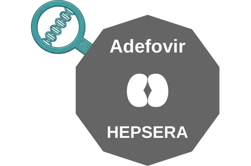 Adefovir ballicule: receptor binding, kinetics and half-life diagram
