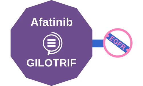 Afatinib ballicule: receptor binding, kinetics and half-life diagram