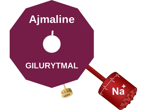 Ajmaline ballicule: receptor binding, kinetics and half-life diagram