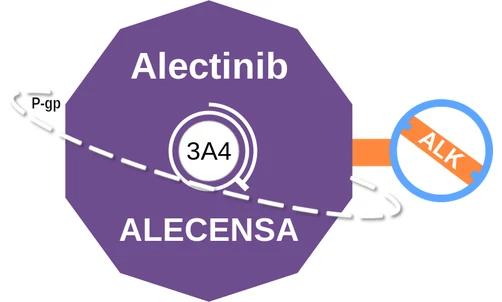 Alectinib ballicule: receptor binding, kinetics and half-life diagram