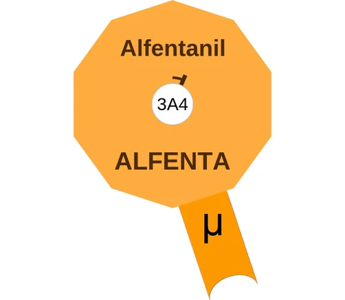 Alfentanil ballicule — decagon mechanism diagram