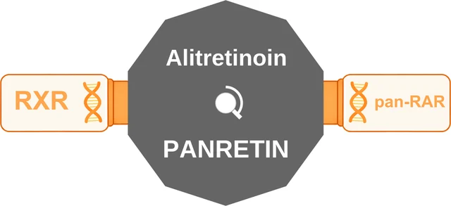 Alitretinoin ballicule — decagon mechanism diagram
