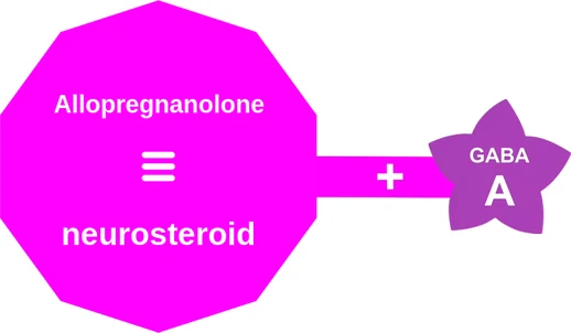 Allopregnanolone ballicule — decagon mechanism diagram