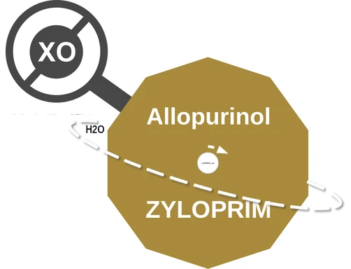 Allopurinol ballicule — decagon mechanism diagram
