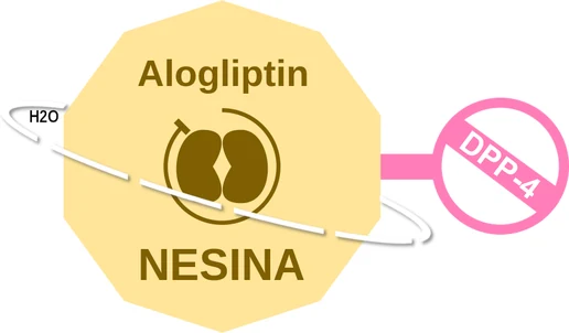 Alogliptin ballicule: receptor binding, kinetics and half-life diagram