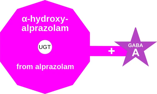 α-hydroxyalprazolam ballicule — decagon mechanism diagram