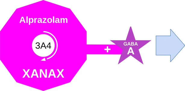 Alprazolam ballicule — decagon mechanism diagram