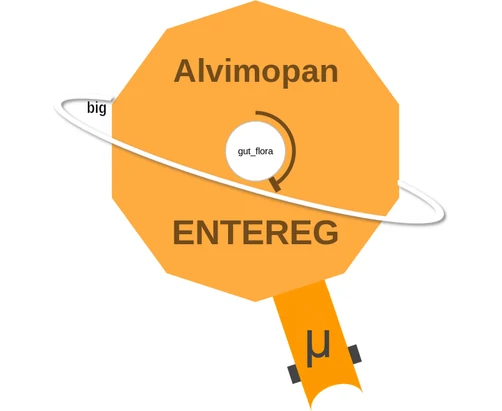 Alvimopan ballicule: receptor binding, kinetics and half-life diagram