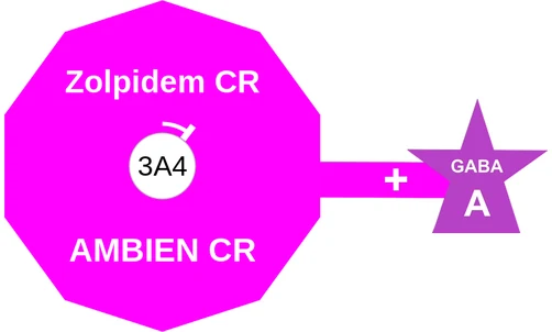 Zolpidem CR ballicule — decagon diagram of its receptor and enzyme targets