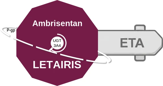 Ambrisentan ballicule — decagon mechanism diagram